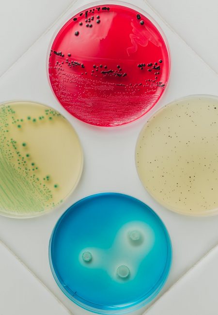 ENRICOMONNISTUDIO_ENR_6069-Modifica_INSES_LOW-Q_18